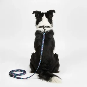 Guinzaglio No ProblLAMA - 140 cm - FuzzYard