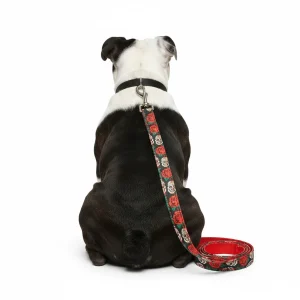 Guinzaglio Skull and Rose - Urban Pup