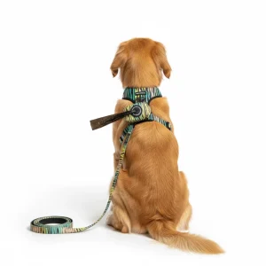 Guinzaglio ZEBRA 150cm - Bullosetti