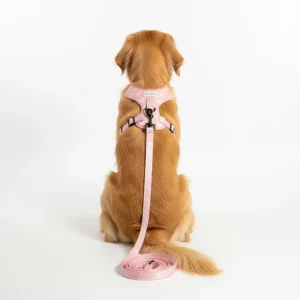 Guinzaglio little mermaid 150cm - Bullosetti