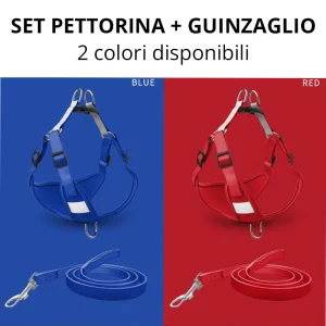 [SET] Pettorina e guinzaglio - rosso e blu - Basic