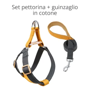 [SET] Pettorina e guinzaglio grigio e arancio - in cotone